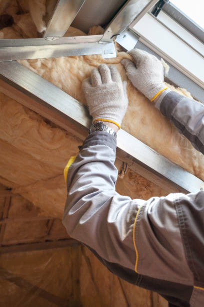 Best Cellulose Insulation in Farmers Branch, TX