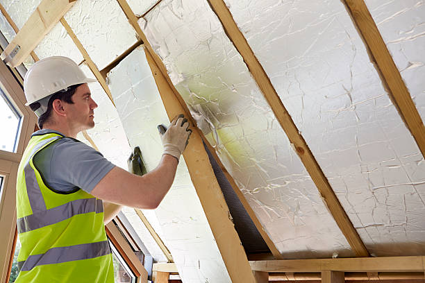 Best Specialized Insulation Services in Farmers Branch, TX
