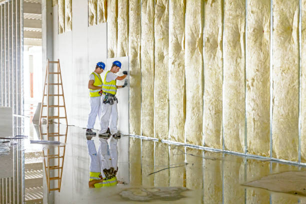 Best Eco-Friendly Insulation in Farmers Branch, TX